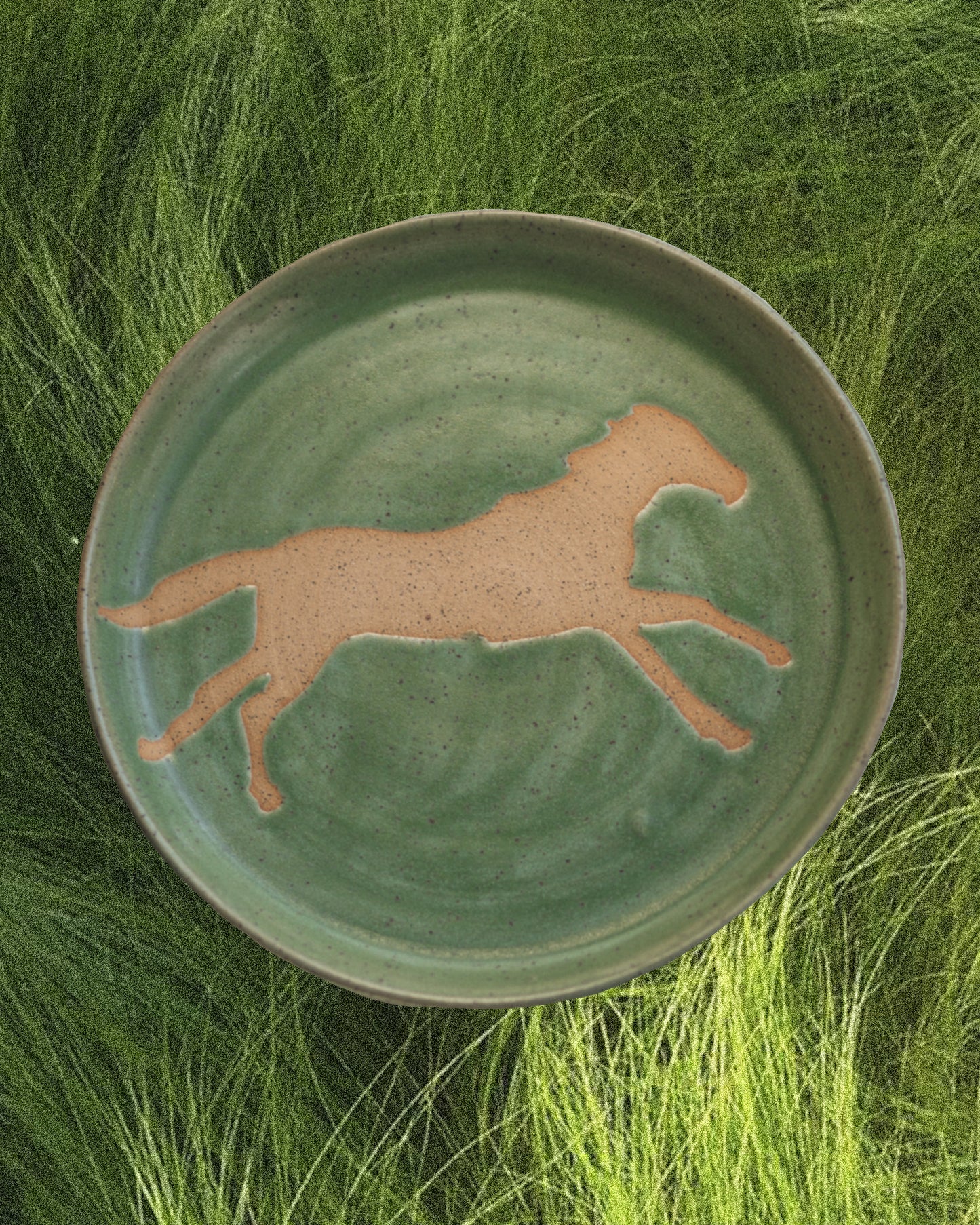 Pony Plate - a lone one